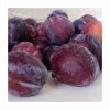 4-5ft 'President' Plum Tree | SJA Semi Vigorous Rootstock | 9L Pot