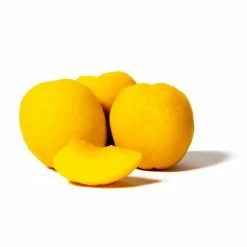 Prunus 'Tomcot' | Apricot Tree